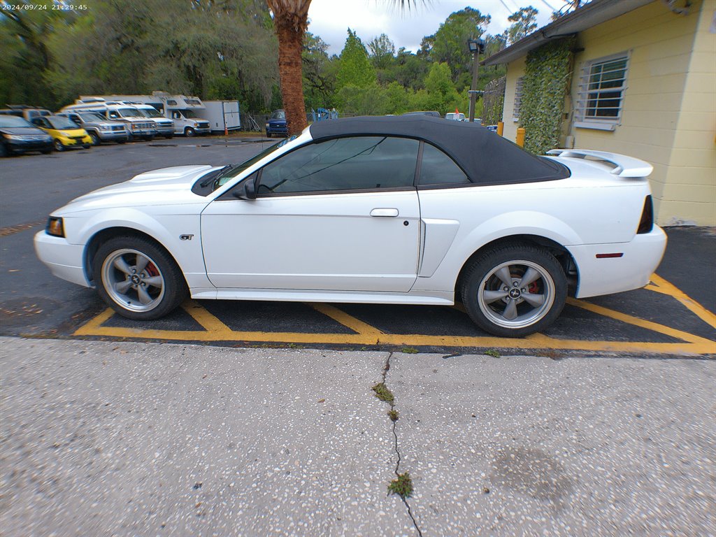 2002 Ford Mustang GT Deluxe's photo
